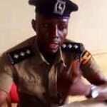 Rogers-Taitika2-310x165-dd14960c