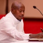 MU7 cabinet-454a92c3