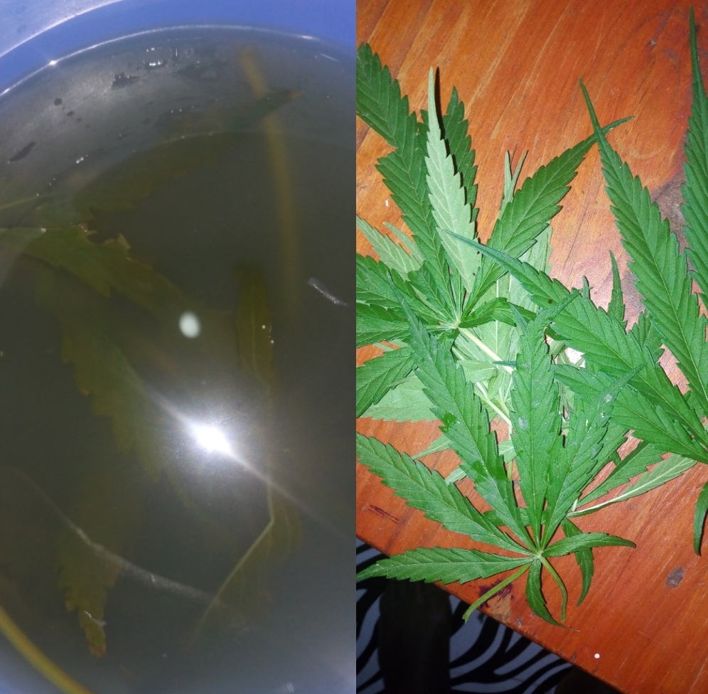 PhotoGrid_1623742894548-8546bacd