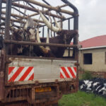 Kabarole-7ba98122