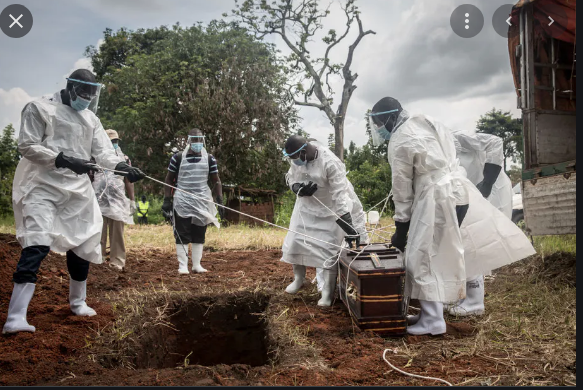 covid death-03e15eae