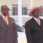 m7 and conde-c2782463