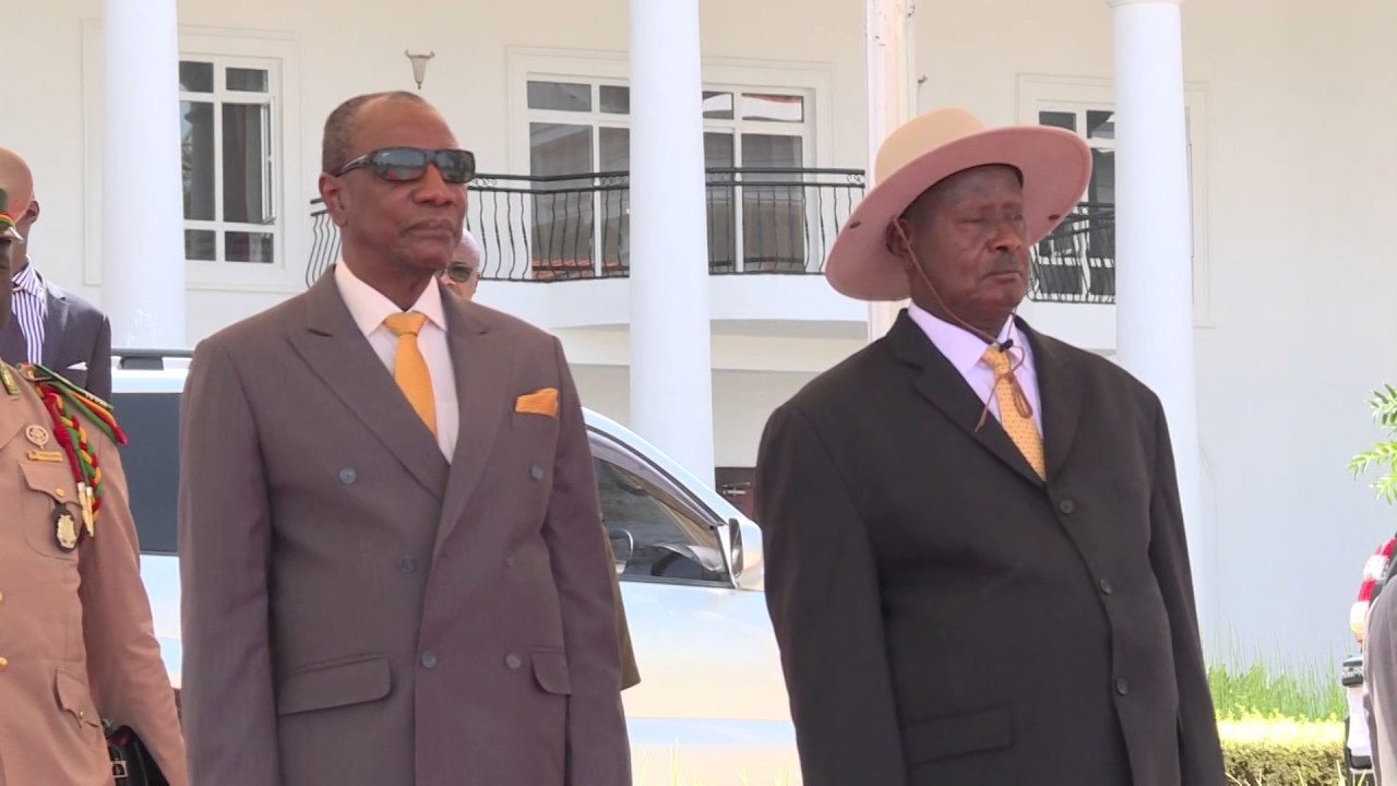 m7 and conde-c2782463