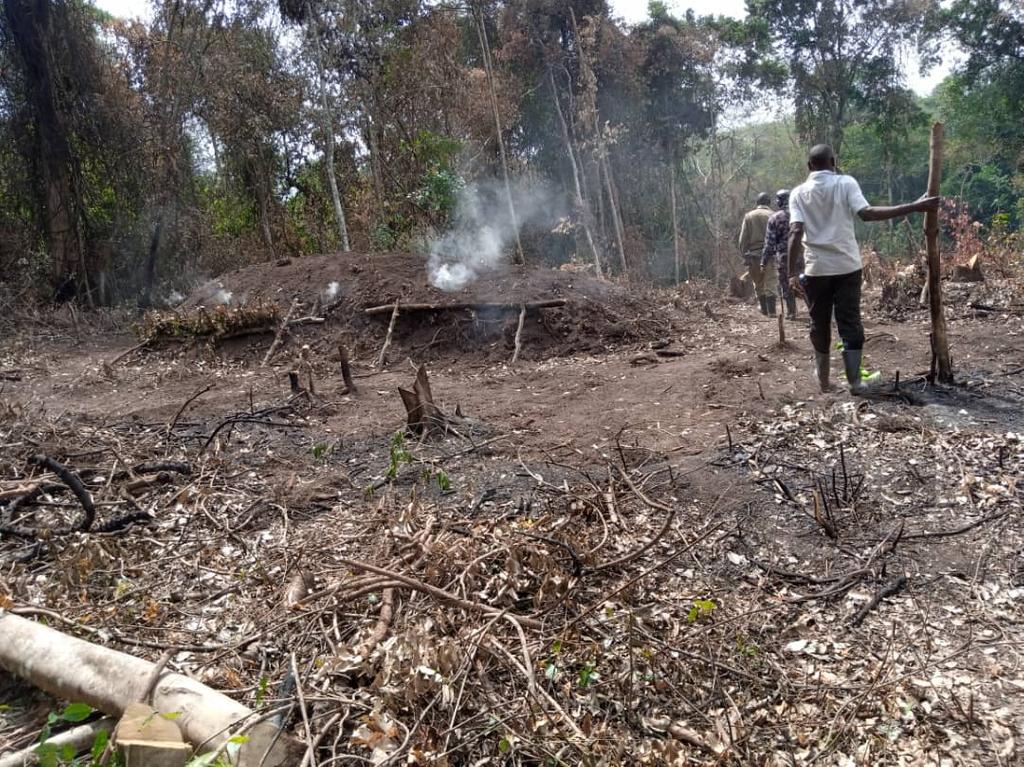 Part-of-Bugoma-forest-that-has-been-destroyed-a0616163